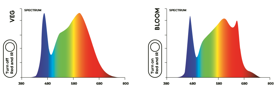 Espectro LED Cosmos 300w